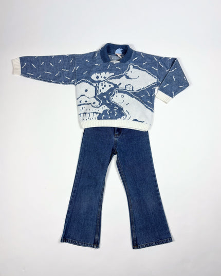 Ensemble Sur la banquise - 6y