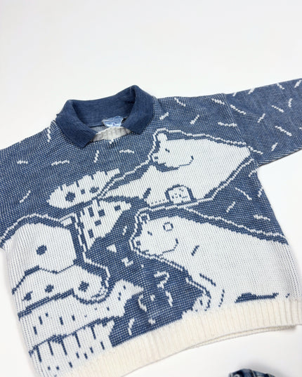 Ensemble Sur la banquise - 6y