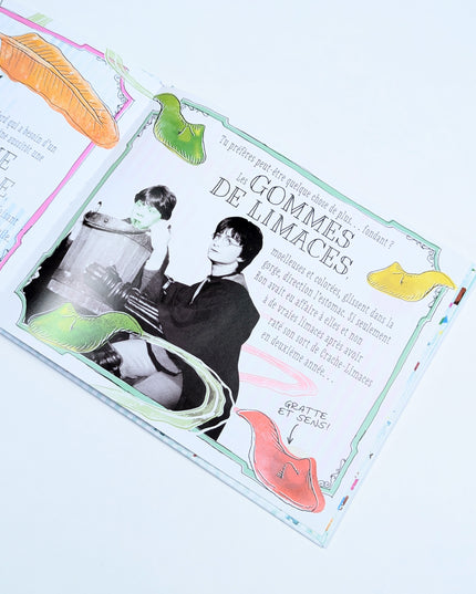 Honeydukes - Harry Potter - un livre à gratter et à sentir