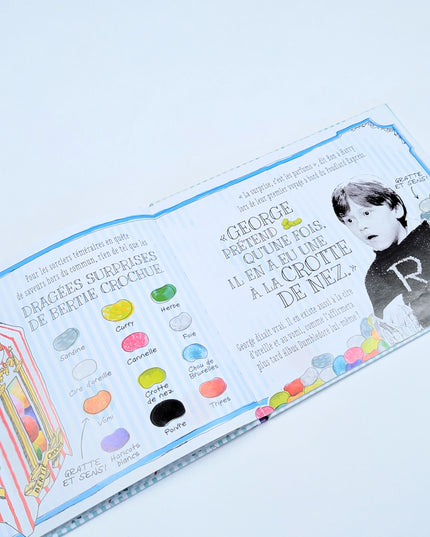 Honeydukes - Harry Potter - un livre à gratter et à sentir